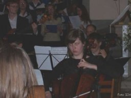 Zabki_14_V