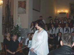 Zabki_14_V