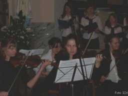 Zabki_14_V